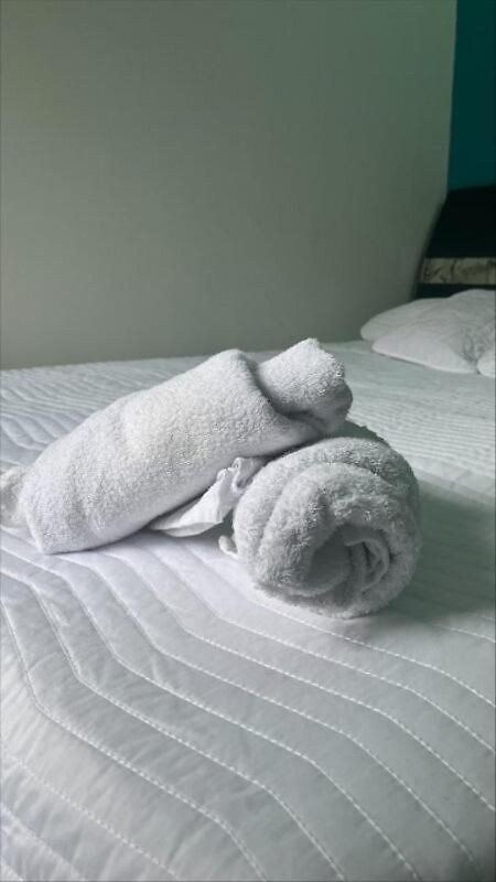 Apartamento Oasis *